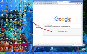 Reverse Image Search