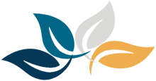 Logo web design logo web design