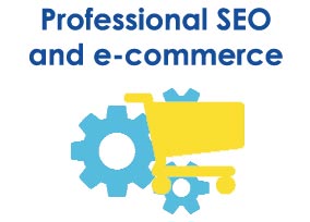 Professional SEO and e-commerce website