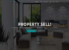 Real Estate website theme