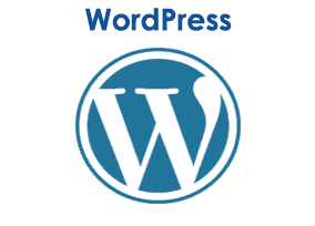 WordPress website